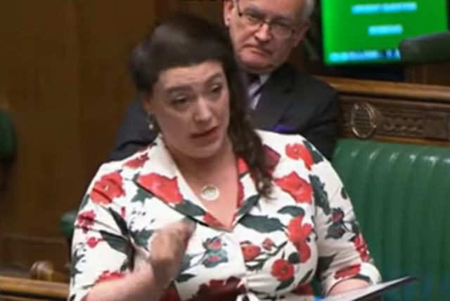 VIDEO / Deputetja Britanike: Kosova nuk është Serbi, dhuna u orkestrua nga Beogradi