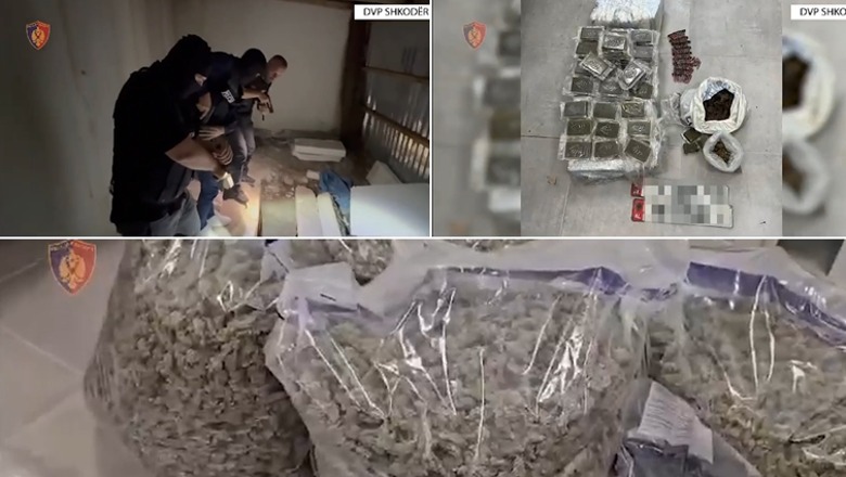 Tunel droge në Shkodër – Sekuestrohen 65 kg kanabis në formë çokollate. Në kërkim dy vëllezërit