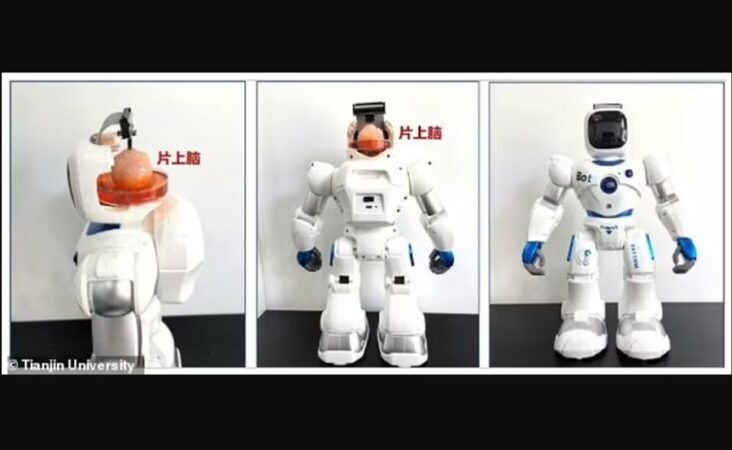 Shkenca befason përsëri, Kina prodhon robotin me… tru njeriu!