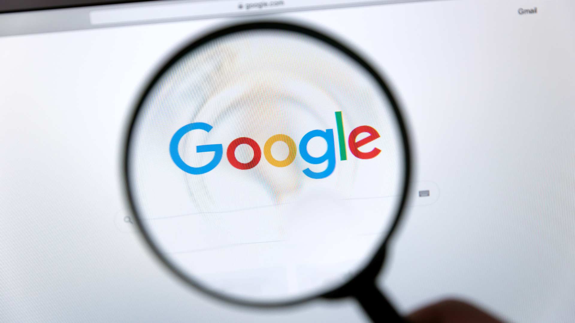 Çfarë u kërkua më shumë në Google për vitin 2024