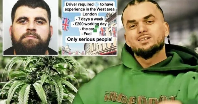 TikTok si agjenci punësimi për shqiptarët në Britani. Ftojnë të rinjtë t’i bashkohen trafikut të drogës