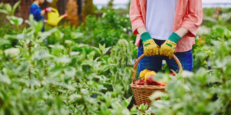 Agriculteurs : la tension peut-elle retomber ? - 24/02