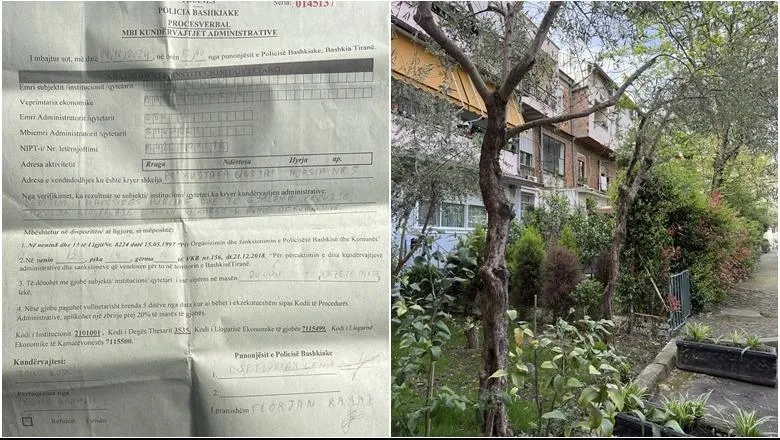 Ndodh në Tiranë/ I moshuari gjobitet me 200 euro pse krasiti pemët. Reagon ashpër Braçe