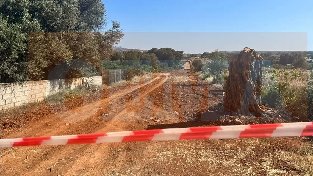 Vrasja e shqiptarit, arrestohet bashkatdhetari. Viktima i tregoi gruas autorin para se të ndërronte jetë