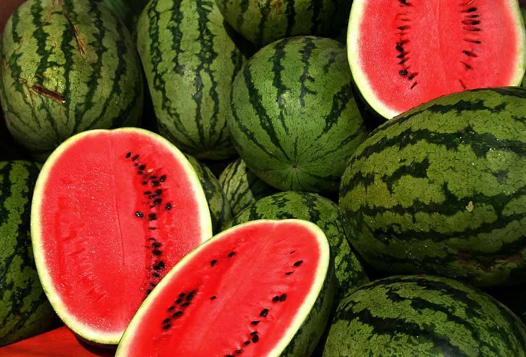 Freski në çdo kafshatë! Ushqimet më të mira për verën