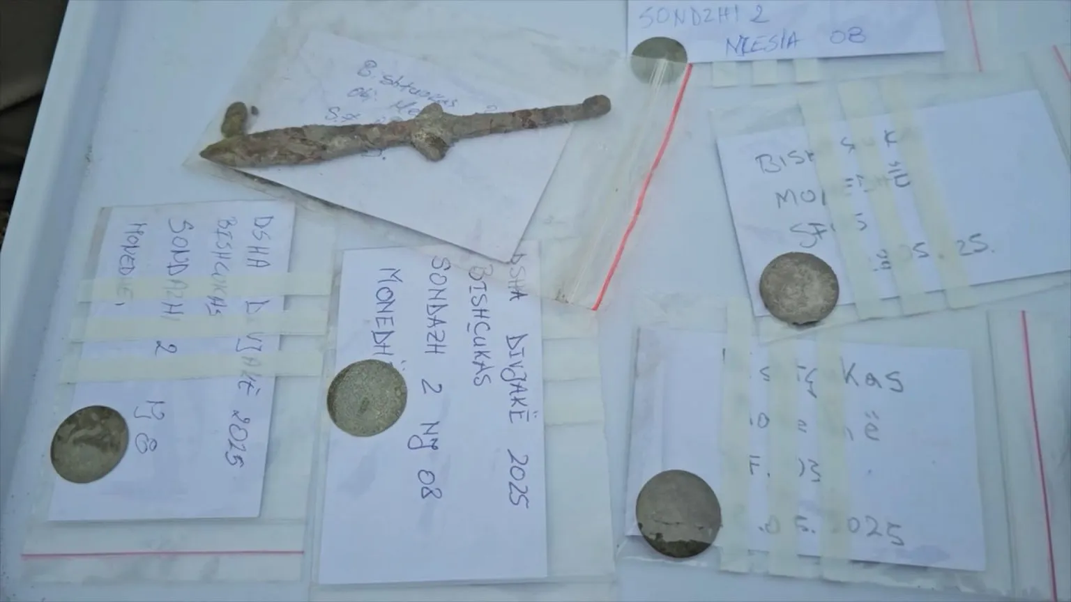 Zbulime arkeologjike në zonën e Divjakës