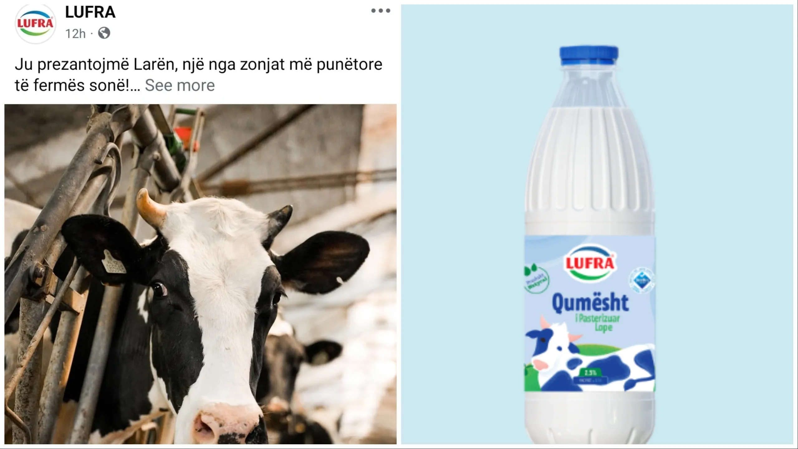 Mashtrimi i kompanisë “Lufra” me Larën! Reklamon lopën, por në realitet s’ka asnjë fermë