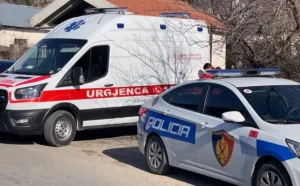 Sherr brenda familjes në Pogradec, burri plagos gruan me thikë (EMRI)