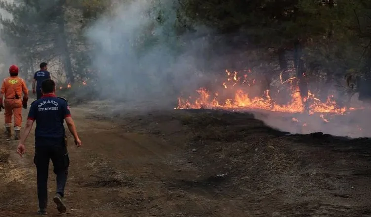 Zjarre të fuqishme në Turqi, mijëra njerëz largohen nga shtëpitë