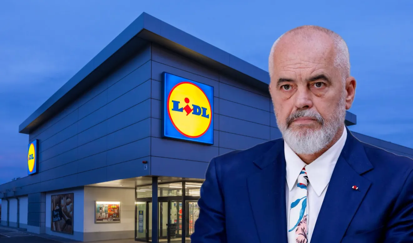 LiDL, Investitor Strategjik në Shqipëri: Si po e shkatërron shteti tregun