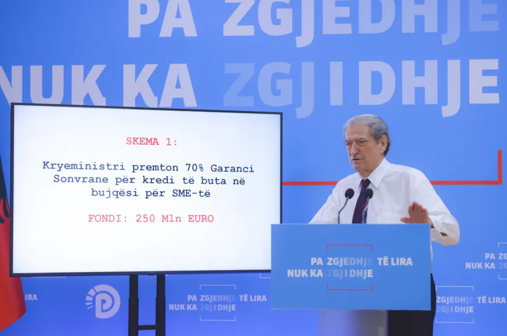 Berisha: Rama vodhi zgjedhjet me 200 milionë euro garanci sovrane