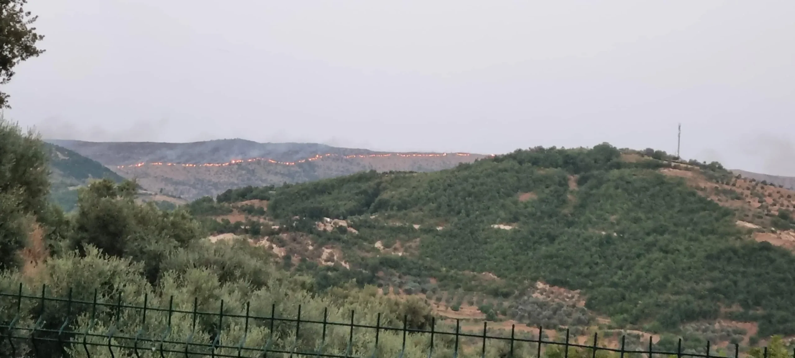 Zjarr i madh në Berat/ Flakët përfshijnë të gjithë malin e Shpiragut 