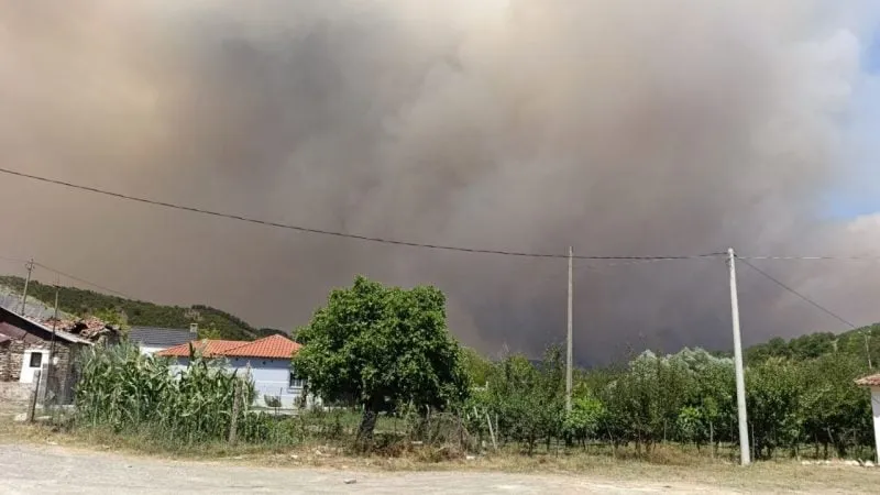 Humb jetën një person nga zjarri në Gramsh