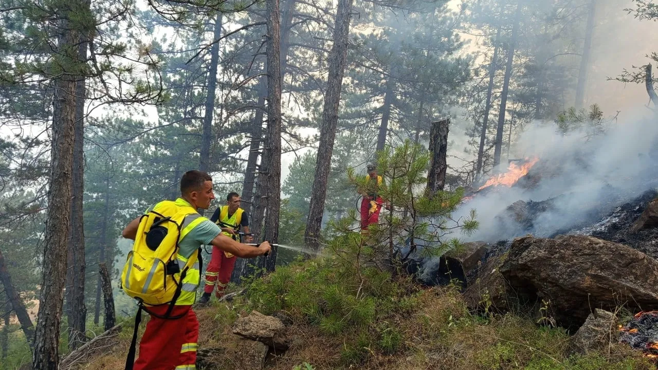 Rëndohet situata në Gramsh/ Banorët dhe zjarrfikësit ngecin mes flakëve