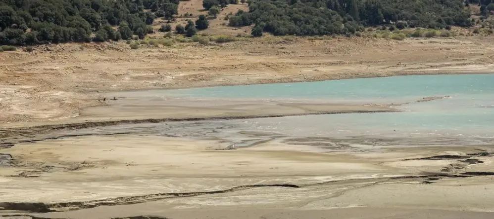 Në muajin korrik u regjistrua një thatësirë rekord në Europë