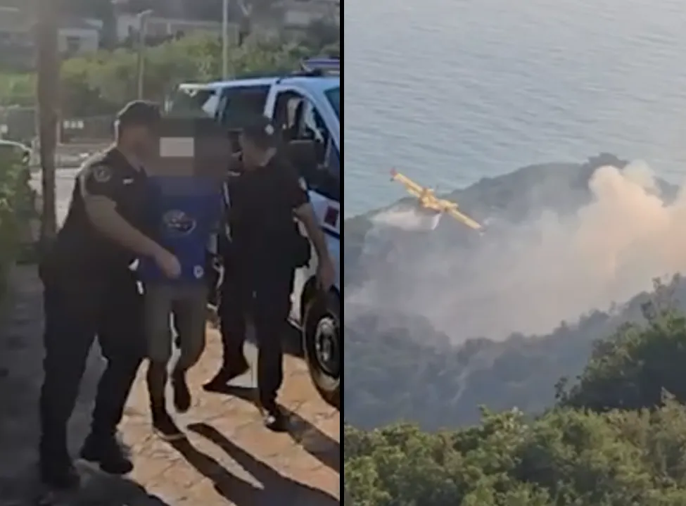 Tre të ndaluar për zjarrvënie në Vlorë, njëri hodhi bishtin e cigares dhe dogji 30 rrënjë ulliri