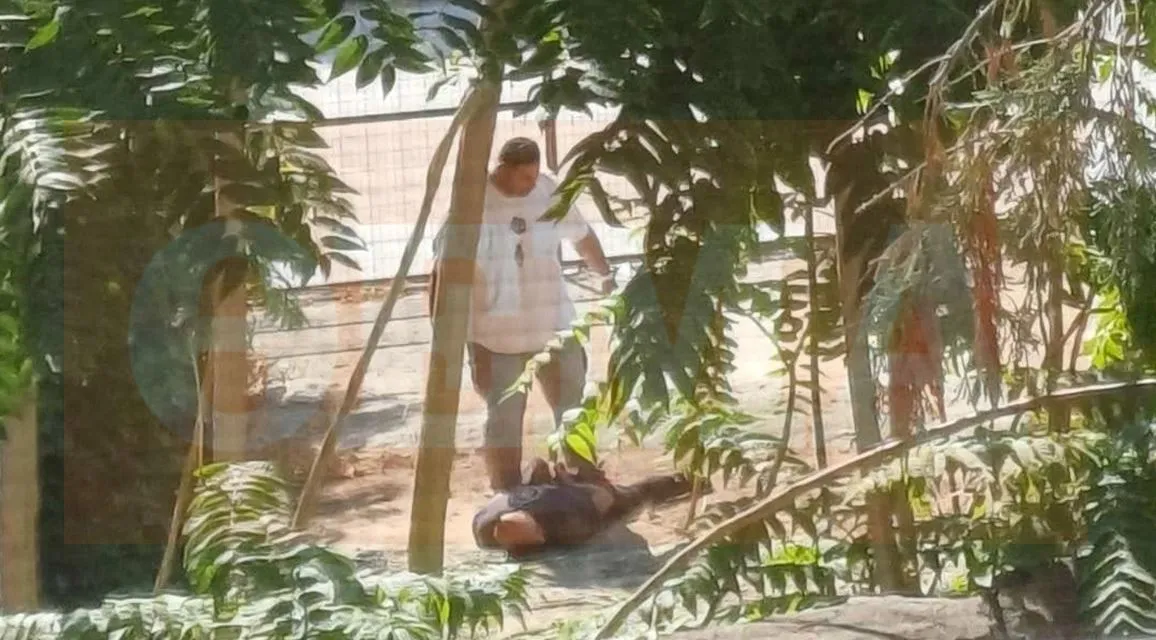 “Më tradhtonte”/ Pamjet nga arrestimi i shqiptarit që vrau gruan në Greqi