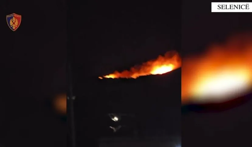 U konfliktua me fqinjin dhe i vuri flakën tokës me ullinj, arrestohet 43-vjeçari në Selenicë