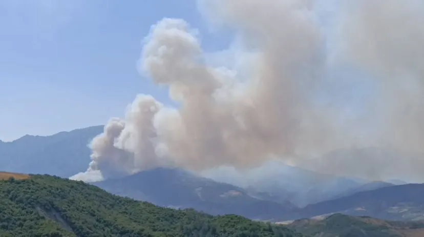 Situatë kritike në Gramsh nga zjarret/ Evakuohen banorët