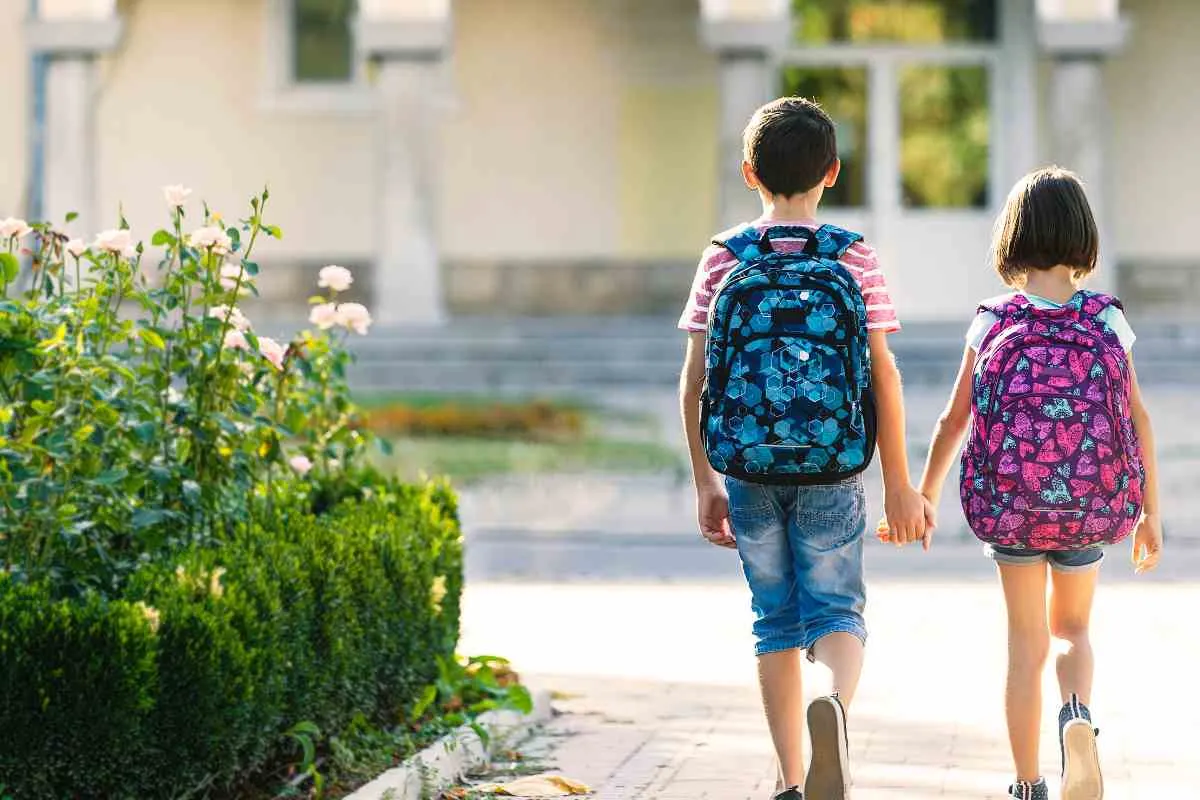 Deri 15.000 lekë/ Sa i kushton prindërve shqiptarë çanta e shkollës për një fëmijë