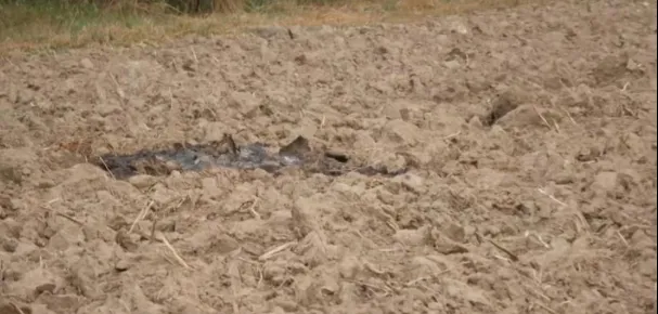 Polonia rrëzon dronë rusë, Kryeministri: Shkelën hapësirën tonë ajrore