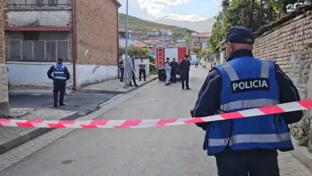 TRAGJEDIA në Maliq/ Zbulohet shkaku i zjarrit që u mori jetën nënës dhe djalit 14 vjeç!