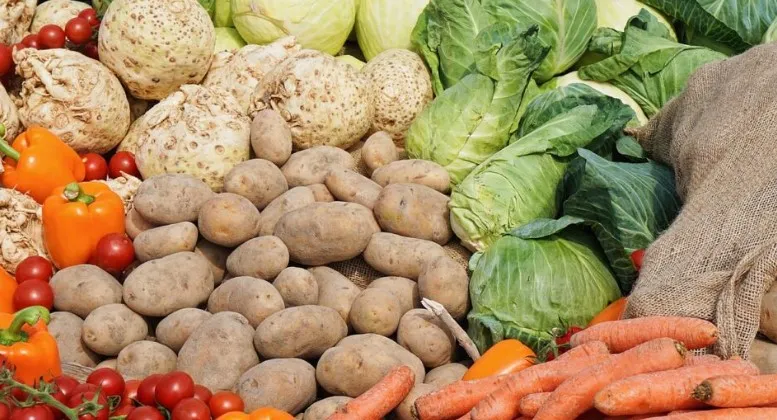 Çmimet e eksportit të zarzavateve shqiptare në gusht, rritje vjetore 5.2%! Sektori bujqësor në rënie