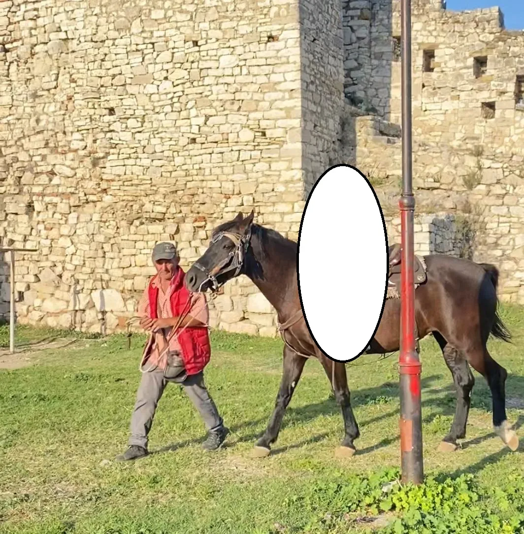 Viktima shkoi si turist në Kalanë e Beratit, u vra në sy të fëmijëve, gruas dhe nënës! Ky është autori