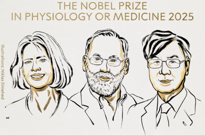 Zbulimet për sistemin imunitar, Mary E. Brunkow, Fred Ramsdell dhe Shimon Sakaguchi fitojnë Çmimin Nobel në Mjekësi