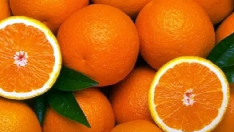 Frutat që duhen konsumuar në dhjetor: Shije, vlera ushqyese dhe përfitime