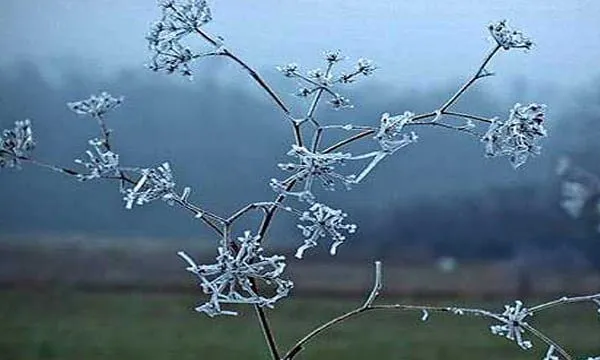 Moti sot: Ngrica dhe temperatura deri në -7 gradë