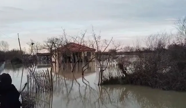 Çahet argjinatura e Semanit, përmbyten 20 banesa në Libofshë