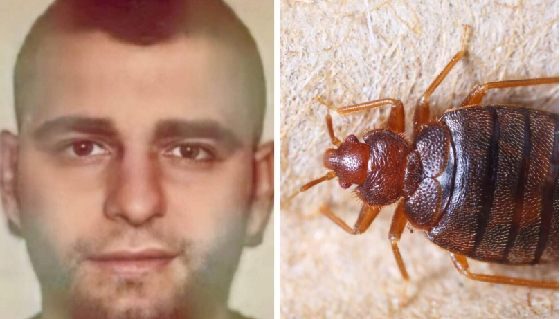 Incident i pazakontë në gjykatën belge. Pleshtat ndërpresin seancën ndaj Franc Çopjas, gjykatësja: Lani rrobat në 60 gradë