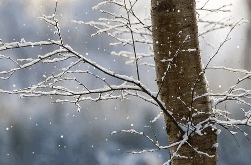 Shi dhe dëborë, temperatura deri në -3 gradë! Ja parashikimi i motit për ditën e sotme