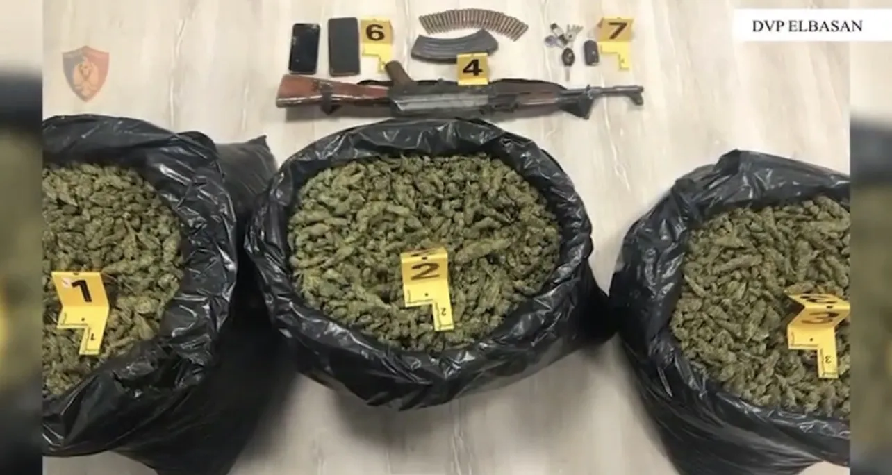 Po transportonin drogë, goditet grupi kriminal! E shpërndanin brenda dhe jashtë vendit! Ç’ndodhi gjatë përplasjes me policinë