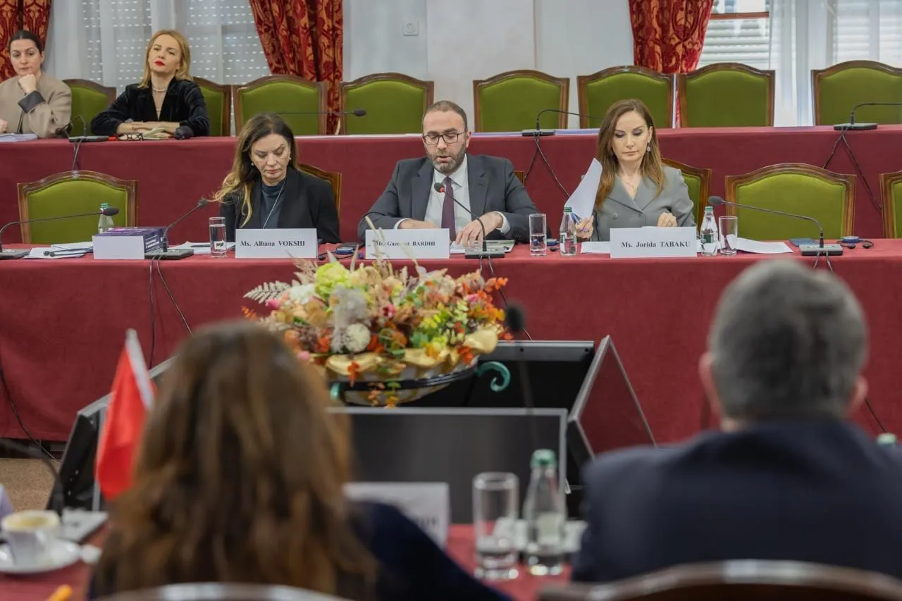 PD në takim me misionin e PE, ngre alarmin për zgjedhjet dhe korrupsionin