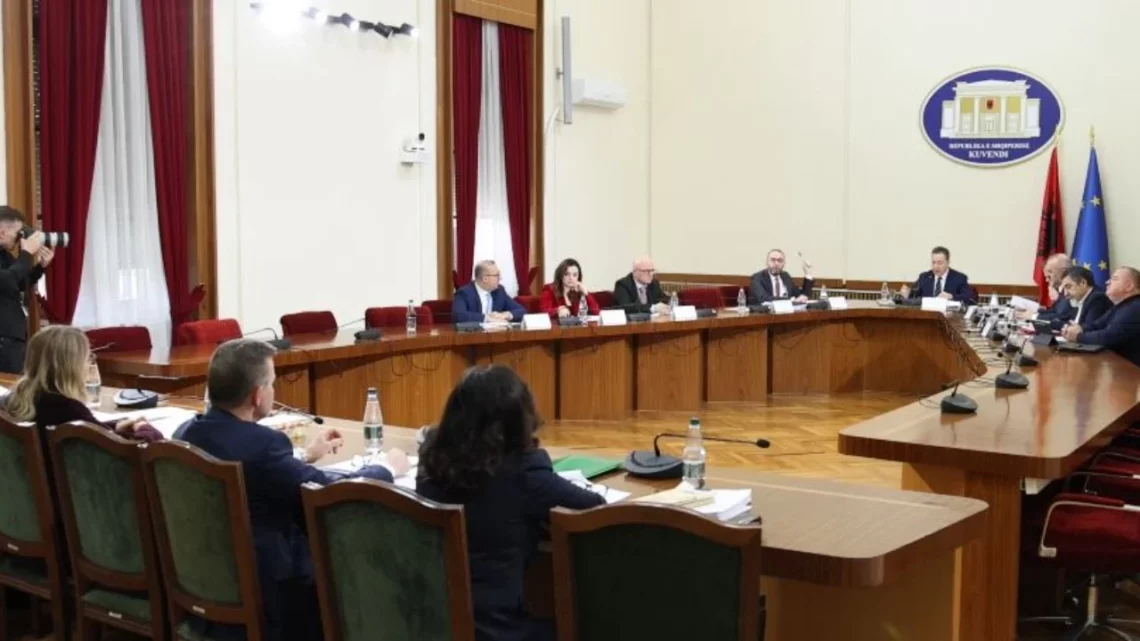 PD kërkon votë pro në Kuvend për heqjen e imunitetit të Belinda Ballukut