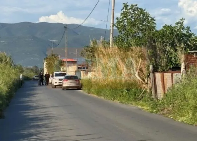 Detaje nga vrasja në Greqi: Shqiptari u qëllua me plumb në kokë në vendin e punës