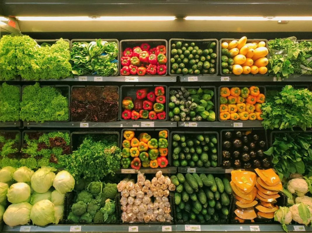 Bujqësia “dorëzohet“! Eksportet e zarzavateve ranë me 33%, importet rriten 23% në dymujor