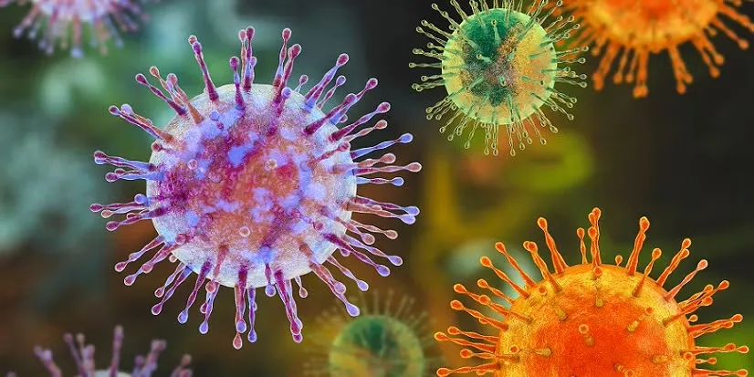 Alarm në Europë, Zvicra dhe Franca konfirmojnë rastet e para me Hantavirus