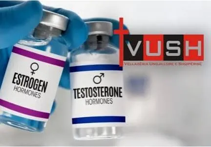 Vëllazëria Ungjillore kundër terapisë hormonale në QSUT: Familja tradicionale, në rrezik