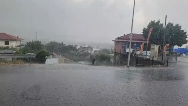 Rrebeshe shiu dhe vetëtima në Elbasan, ngordhin bagëtitë