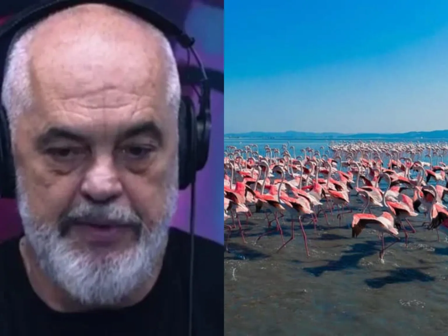 “Projekti në Zvërnec do bëhet patjetër”/ Rama: PS shpëtoi flamingot, 10 vite më parë haheshin