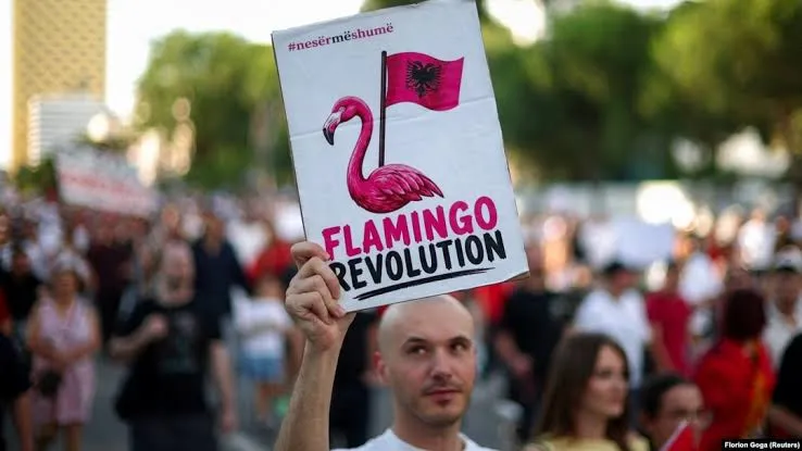10 fitoret e Revolucionit të Flamingove