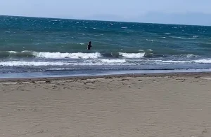“M’u lut të shkonte në det… ishte hera e parë!” Rrëfimi i babait të 9-vjeçares që u mbyt në Tale, së bashku me kushërirën