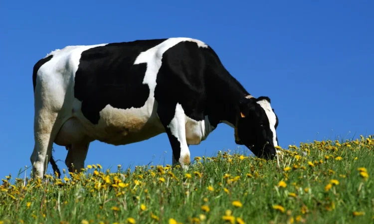 Agriculteurs : la tension peut-elle retomber ? - 24/02