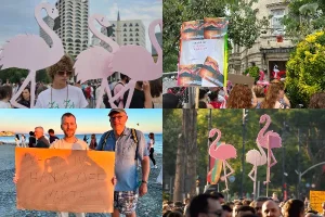 Si po i përqafojnë turistët e huaj protestat në Shqipëri