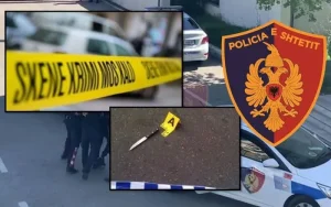 (EMRAT) Plagoset me thikë i riu në Lushnje, arrestohet autori