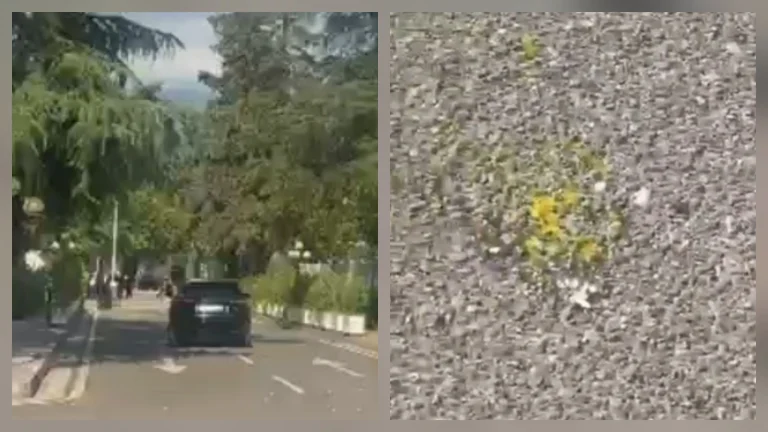 (VIDEO) Protestuesit gjuajnë me vezë makinën e Taulant Ballës