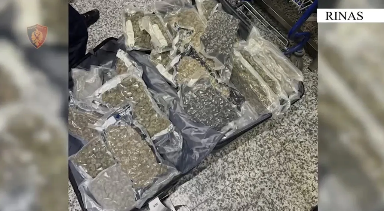 Nga Kanadaja në Shqipëri, kapen 46 kg drogë në aeroportin e Rinasit. Ishte fshehur në dy valixhe